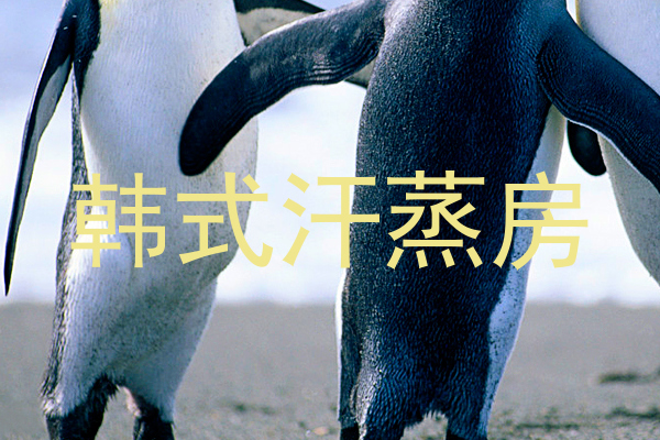 韩式汗蒸房