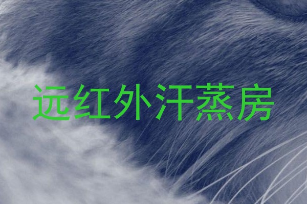 远红外汗蒸房