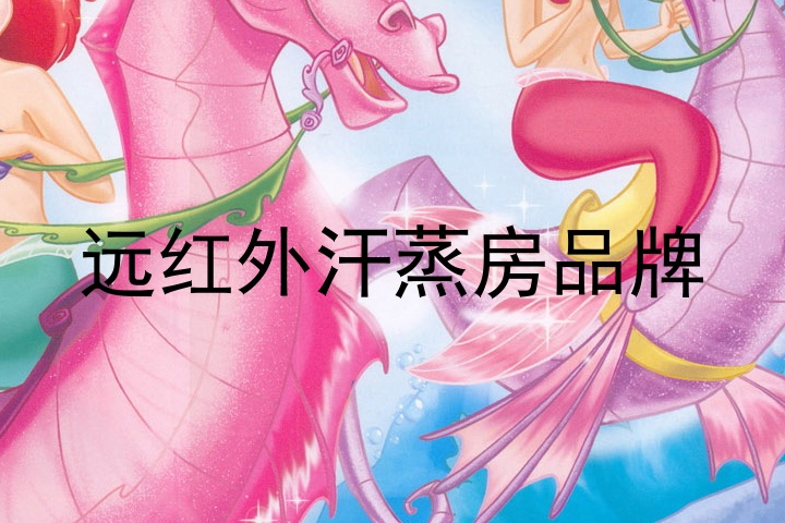 远红外汗蒸房品牌
