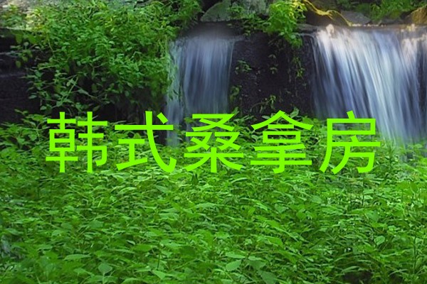 韩式桑拿房