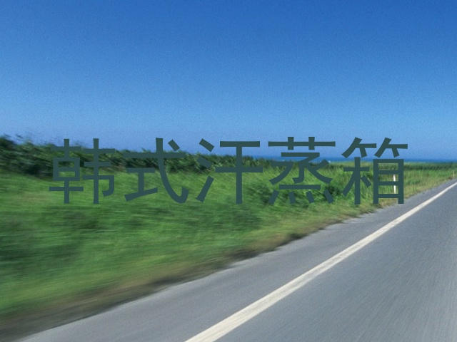 韩式汗蒸箱
