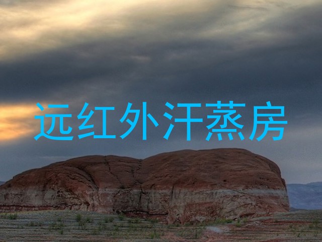 远红外汗蒸房