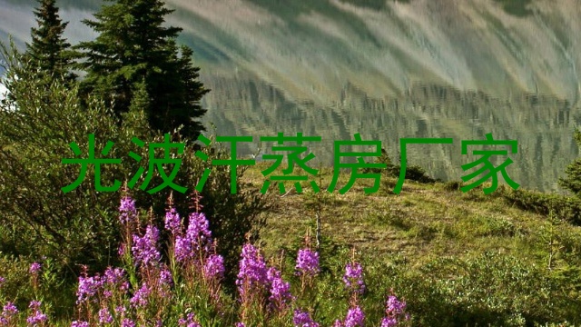 光波汗蒸房厂家