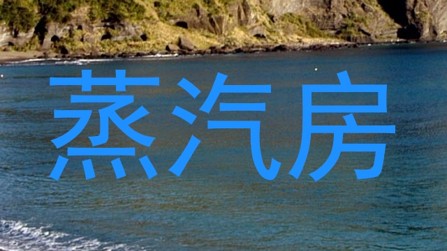 蒸汽房