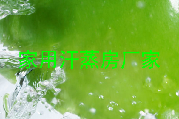 家用汗蒸房厂家
