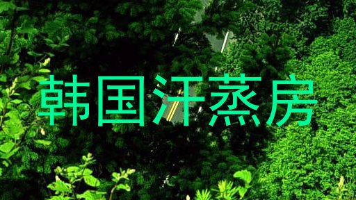 韩国汗蒸房