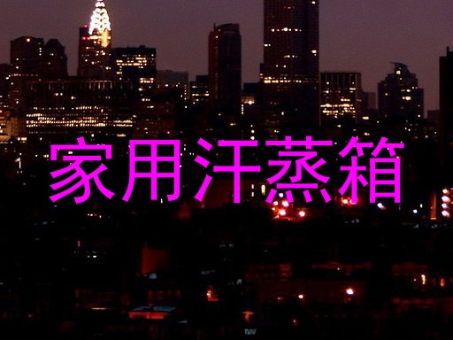 家用汗蒸箱