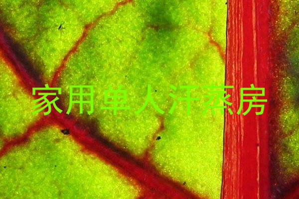家用单人汗蒸房