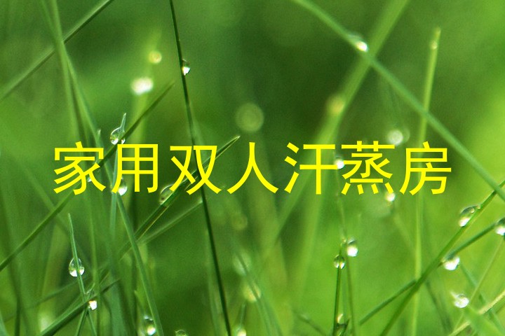 家用双人汗蒸房