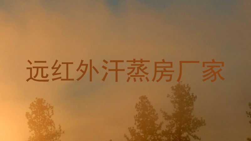 远红外汗蒸房厂家
