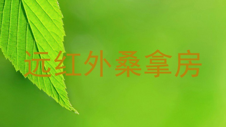 远红外桑拿房