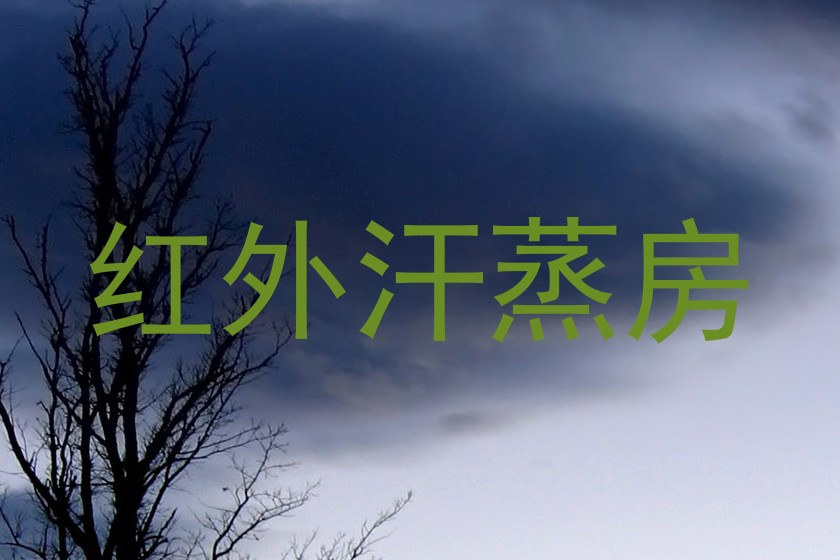 红外汗蒸房
