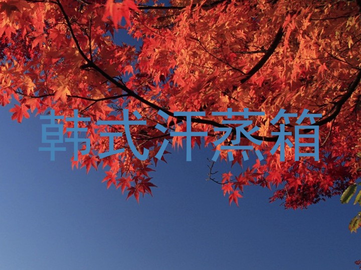 韩式汗蒸箱