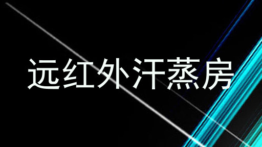 远红外汗蒸房
