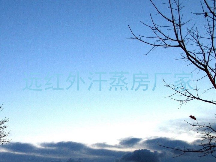 远红外汗蒸房厂家