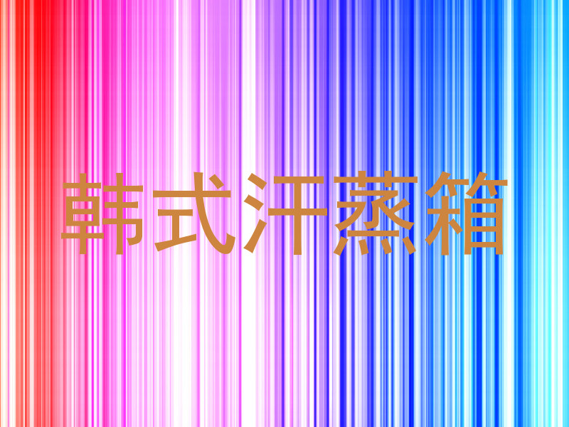 韩式汗蒸箱
