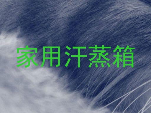 家用汗蒸箱
