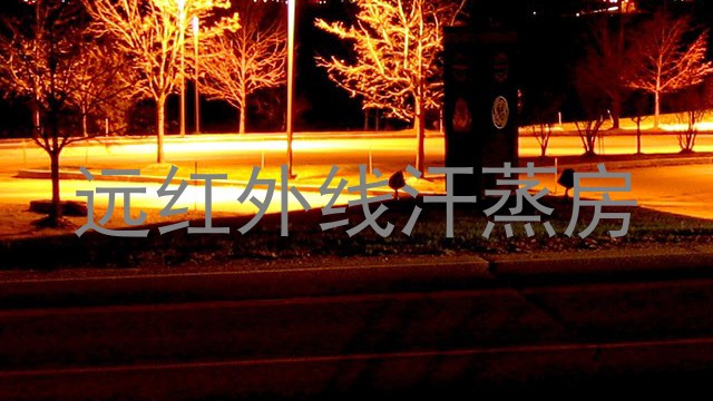 远红外线汗蒸房