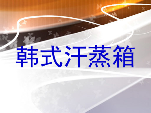 韩式汗蒸箱