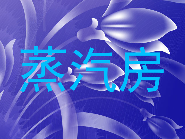 蒸汽房