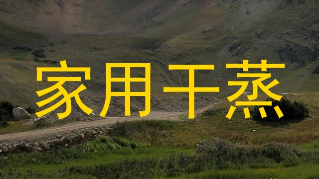 家用干蒸