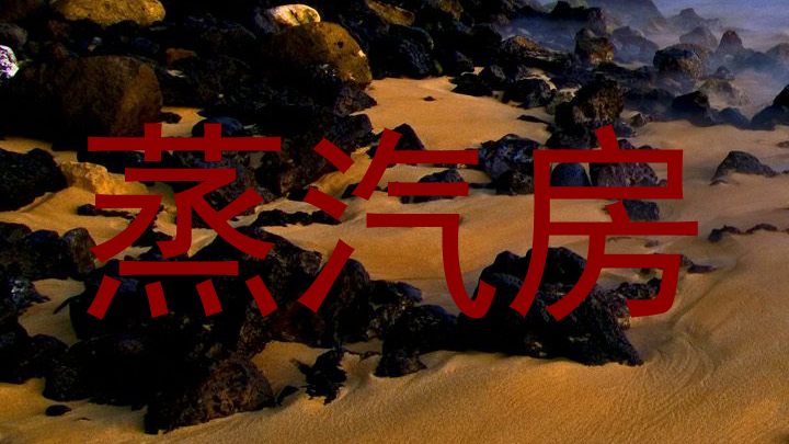 蒸汽房