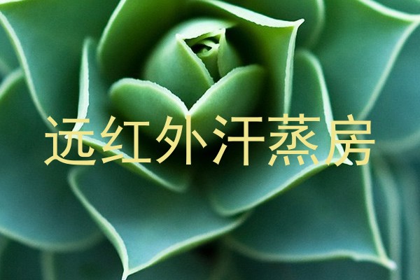 远红外汗蒸房