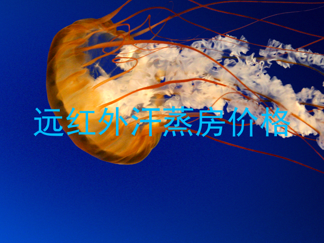 远红外汗蒸房价格