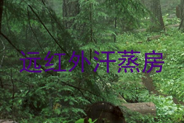 远红外汗蒸房