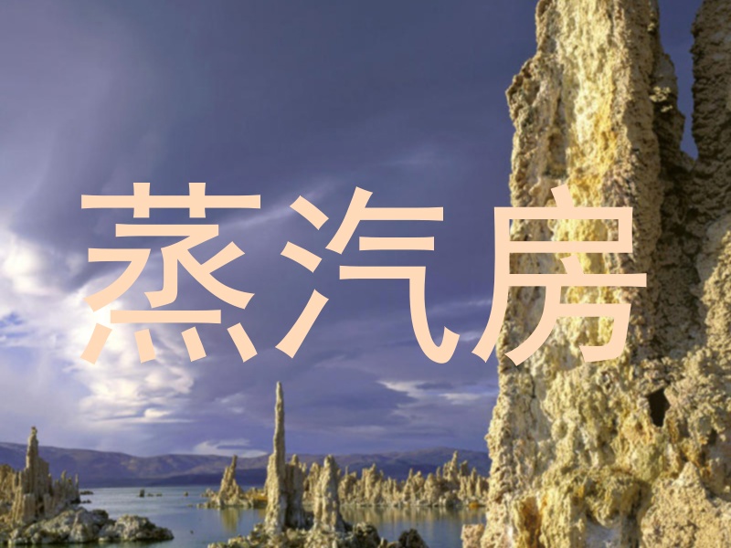 蒸汽房
