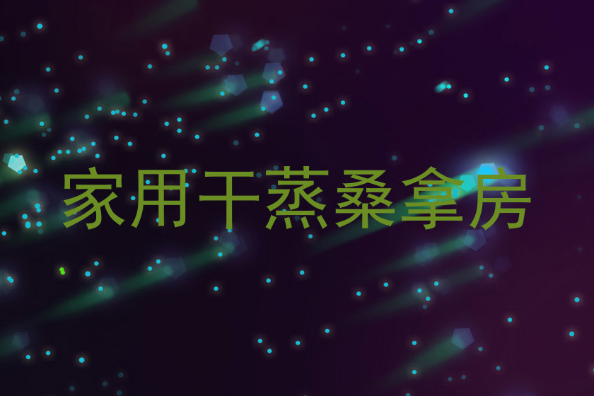 家用干蒸桑拿房