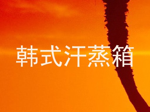韩式汗蒸箱