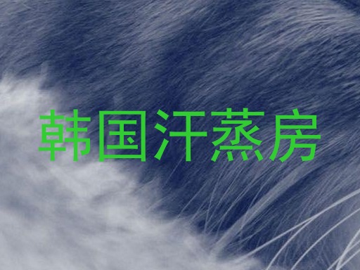 韩国汗蒸房