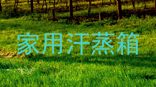 家用汗蒸箱