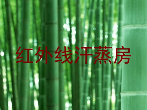 红外线汗蒸房