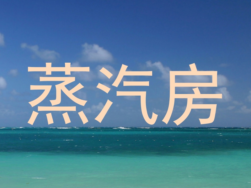 蒸汽房