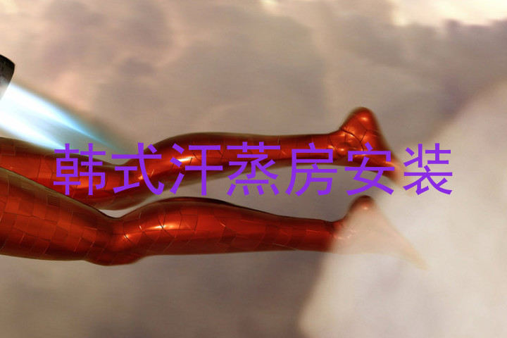 韩式汗蒸房安装