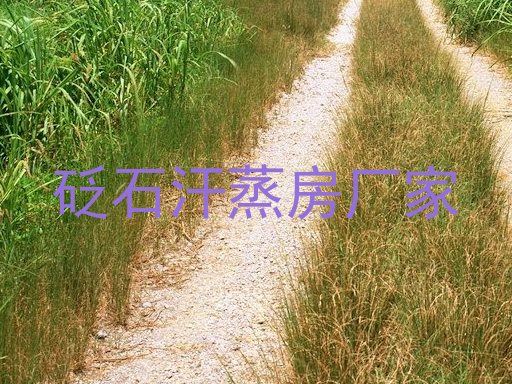 砭石汗蒸房厂家