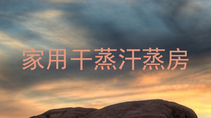家用干蒸汗蒸房