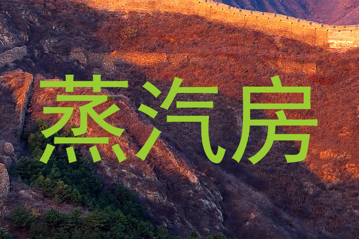 蒸汽房