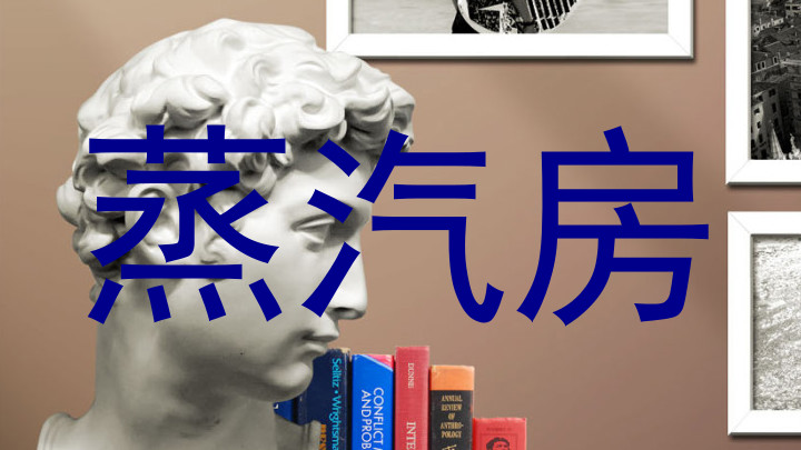蒸汽房