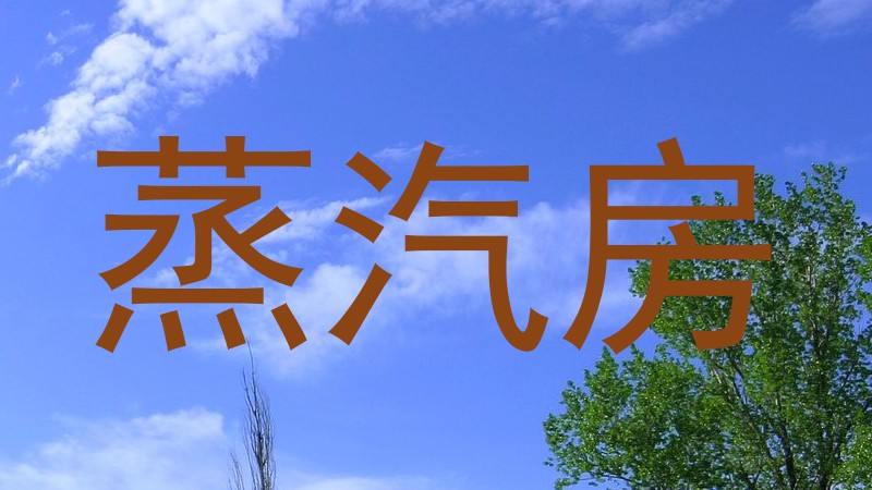 蒸汽房