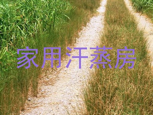 家用汗蒸房