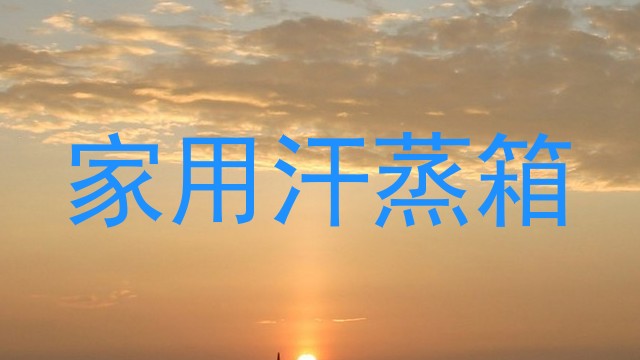 家用汗蒸箱