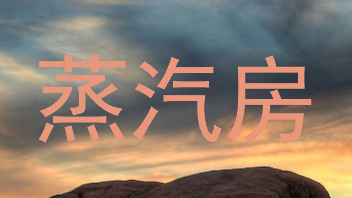 蒸汽房