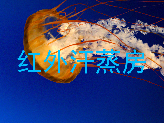 红外汗蒸房