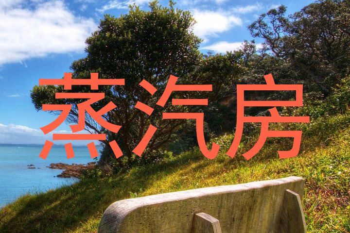 蒸汽房