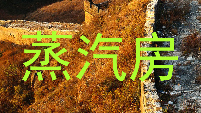 蒸汽房