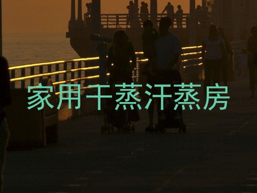 家用干蒸汗蒸房