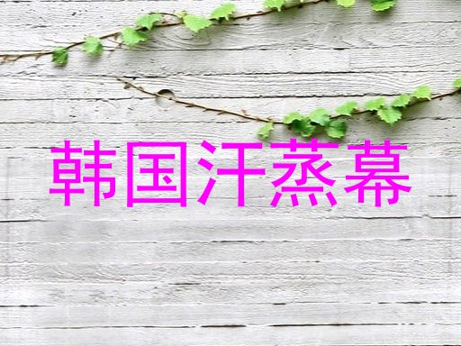 韩国汗蒸幕
